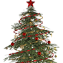 Christmas Tree PNG Stock