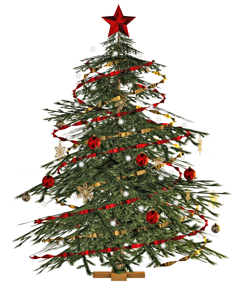 Christmas Tree PNG Stock