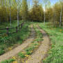 Country Lane Autumn Premade Background