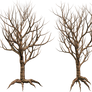 Trees 05 PNG Stock