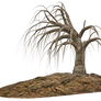 Trees 13 PNG Stock