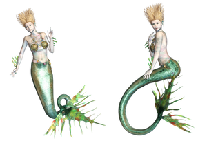 Mermaid 01 PNG Stock