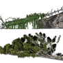 Fallen Trees 01 PNG Stock