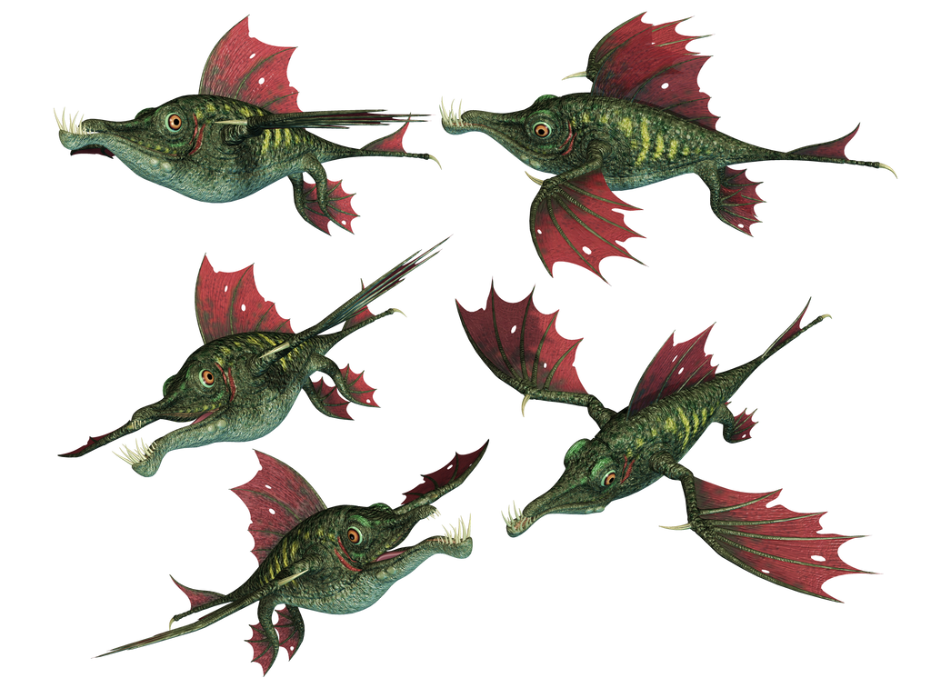 Dragon Fish PNG Stock