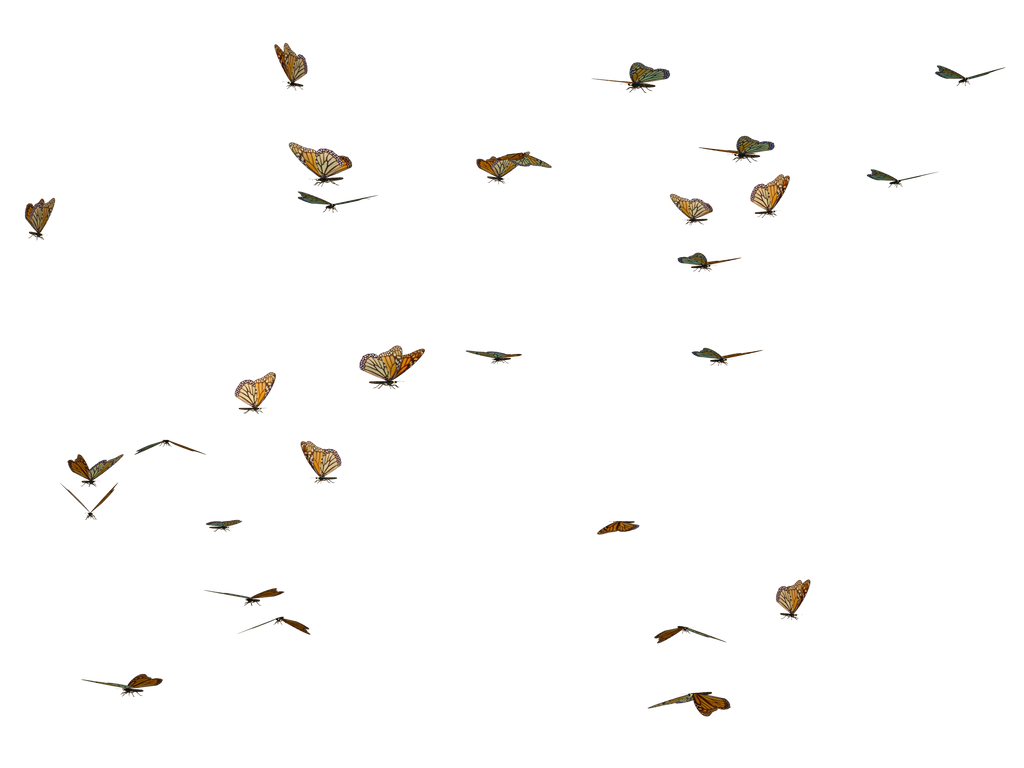 Butterfly Swarm 02 PNG Stock
