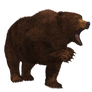 Brown Bear 01 PNG Stock