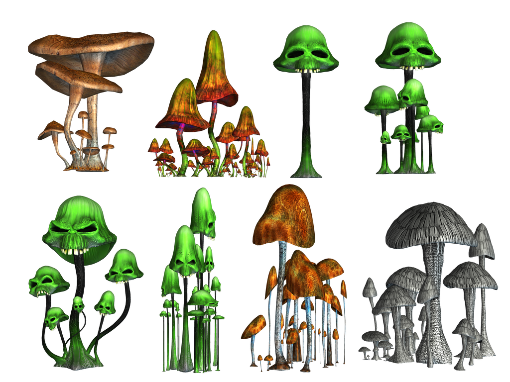 Magic Mushrooms 2 PNG Stock