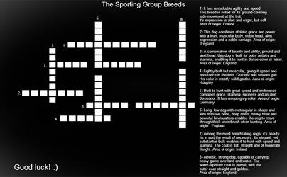 Sporting Group Quiz