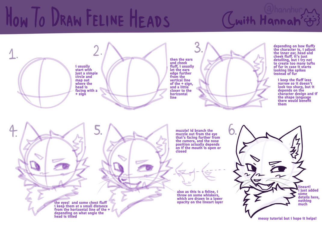 feline heads tutorial by hannhur on DeviantArt