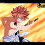 Natsu Dragneel / Fairy Tail 373