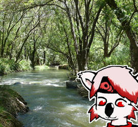 Koaka and the Creek