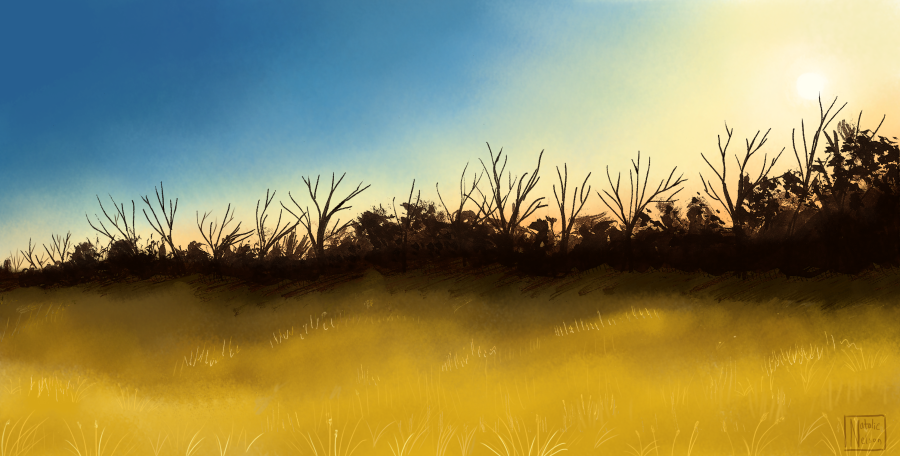 Landscape 6-3-13