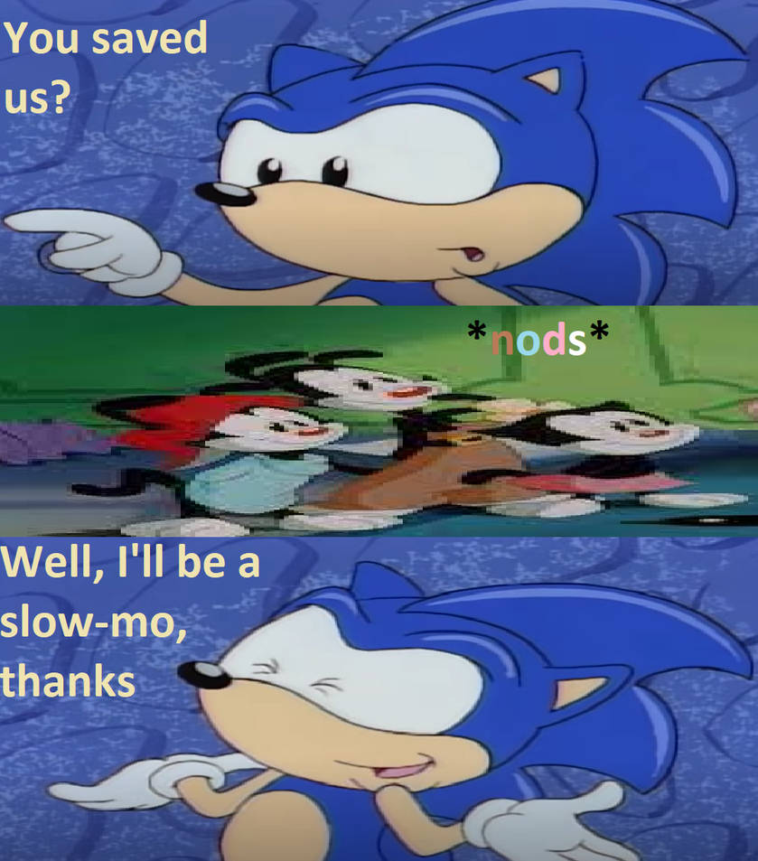 AoStH Sonic Thanks the Warners Meme by sweetheart1012 on DeviantArt