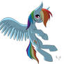 Silly silly Rainbow Dash