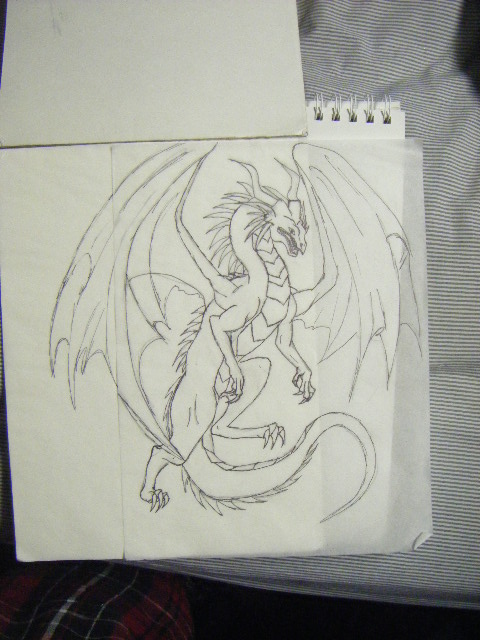 dragon tattoo sketch