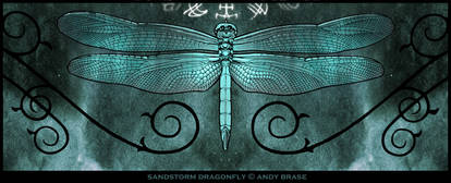 Sandstorm Dragonfly- Night V2