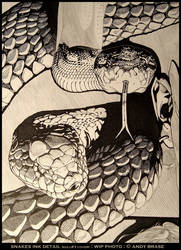 Snakes: WIP Ink Detail