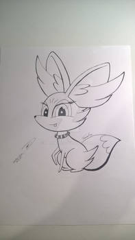 Mi Fennekin