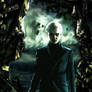 HP hbp - Draco Malfoy