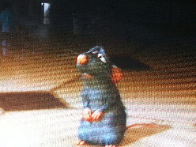 Cursed Remy Rattatoie Remy Ratatouille Sad
