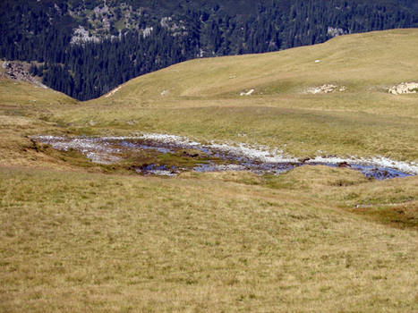 Water on Transalpina