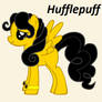 Hufflepuff Pony