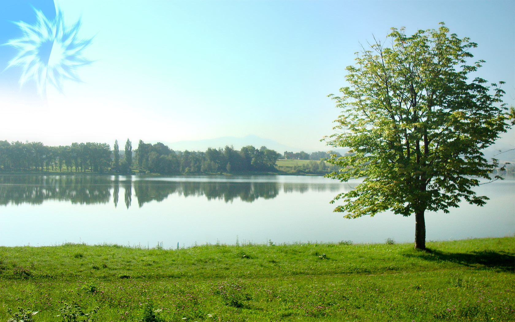 morning in Poland