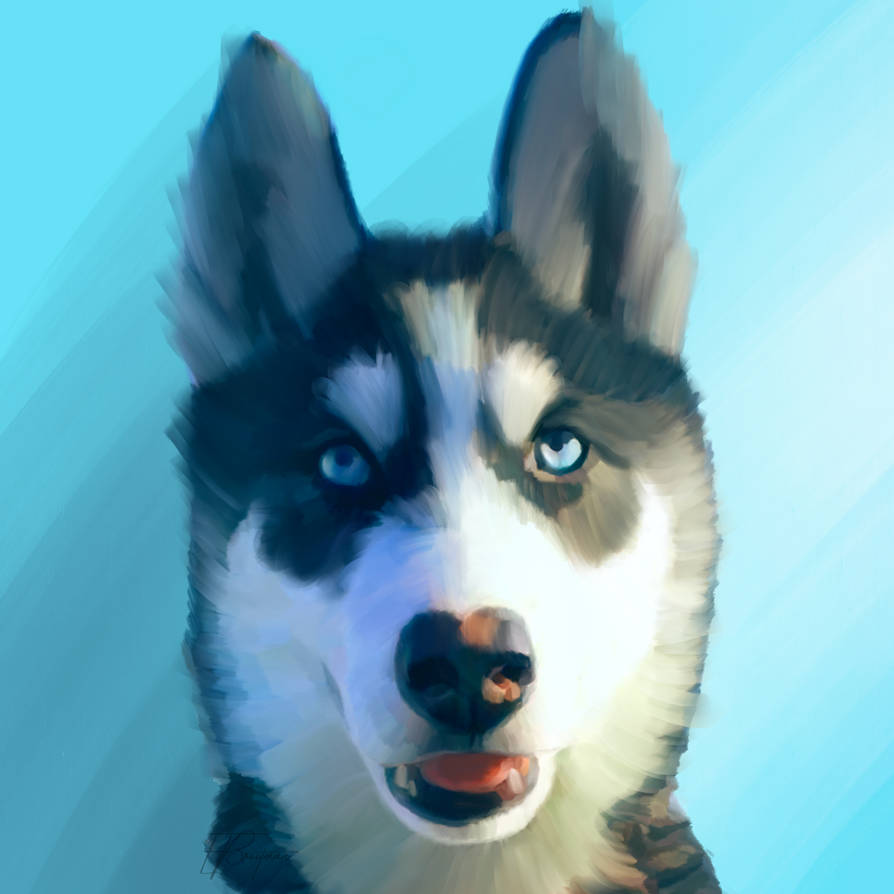 Husky Portrait Raffle Winner by PetsPaints on DeviantArt