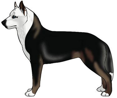 OWK's Echo's in the Forest