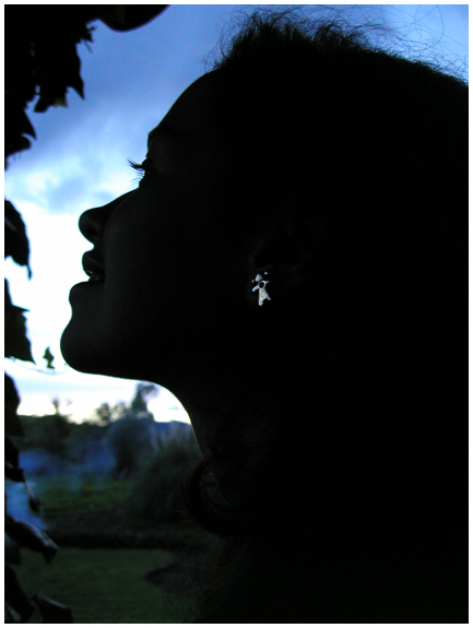 Caroldie silhouette