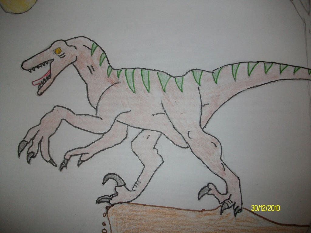 Blood Raptor Deviantart Velociraptor by Bloodwolf-Xx on DeviantArt