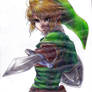 Link Twilight Princess