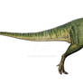 ceratosaurus nasicornis