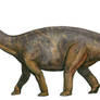 cetiosaurus