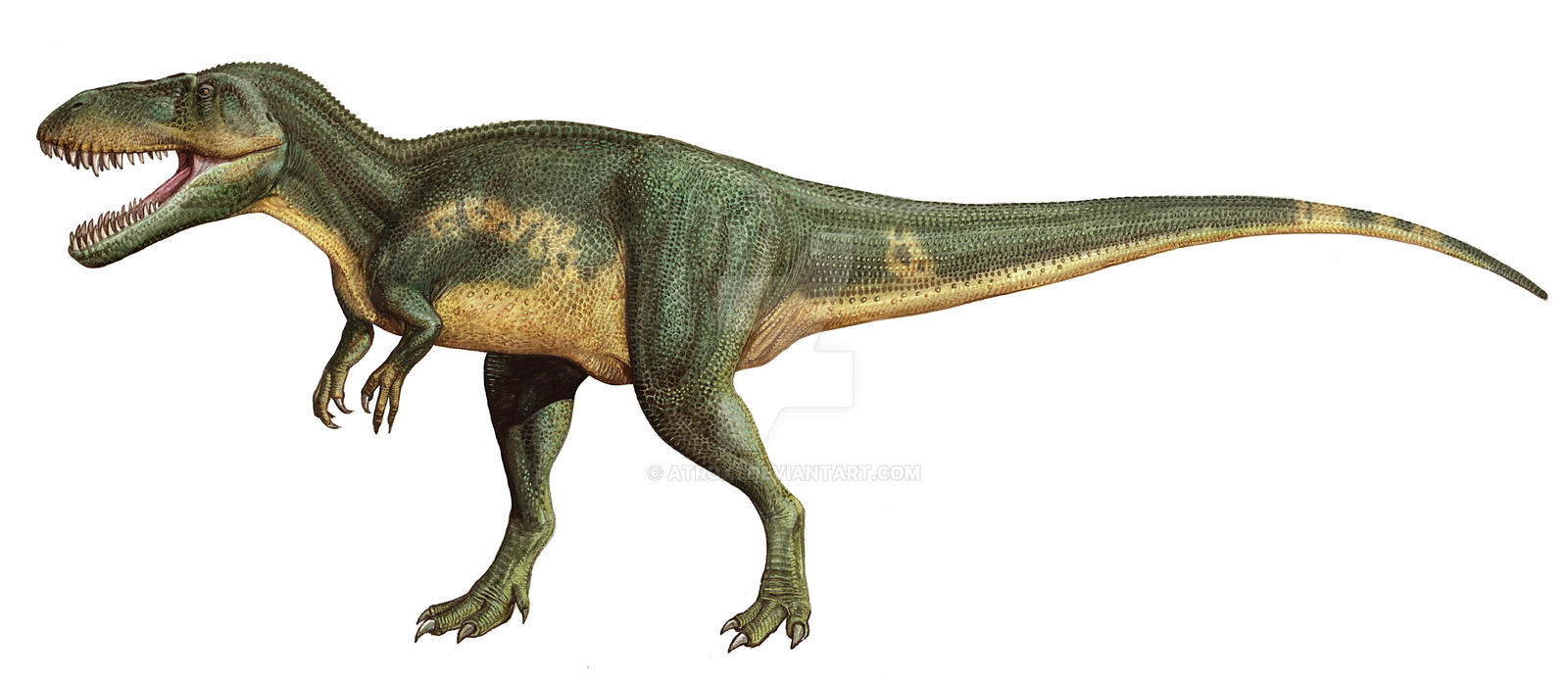 torvosaurus