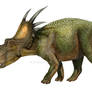 styracosaurus albertensis