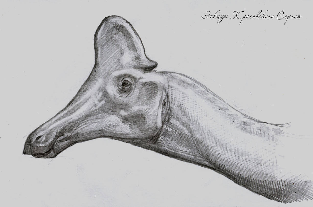 Amurosaurus by atrox1