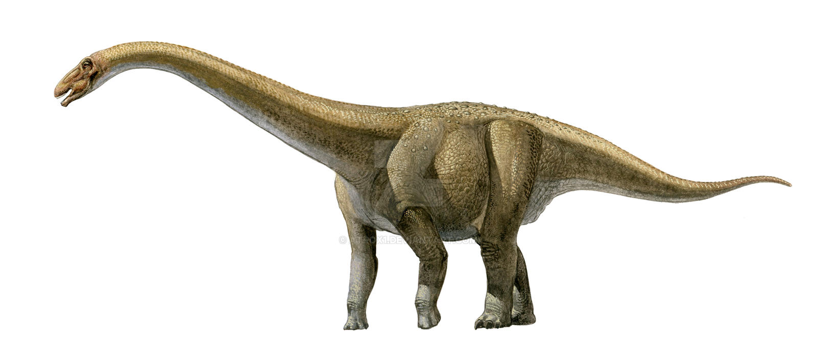 Rapetosaurus
