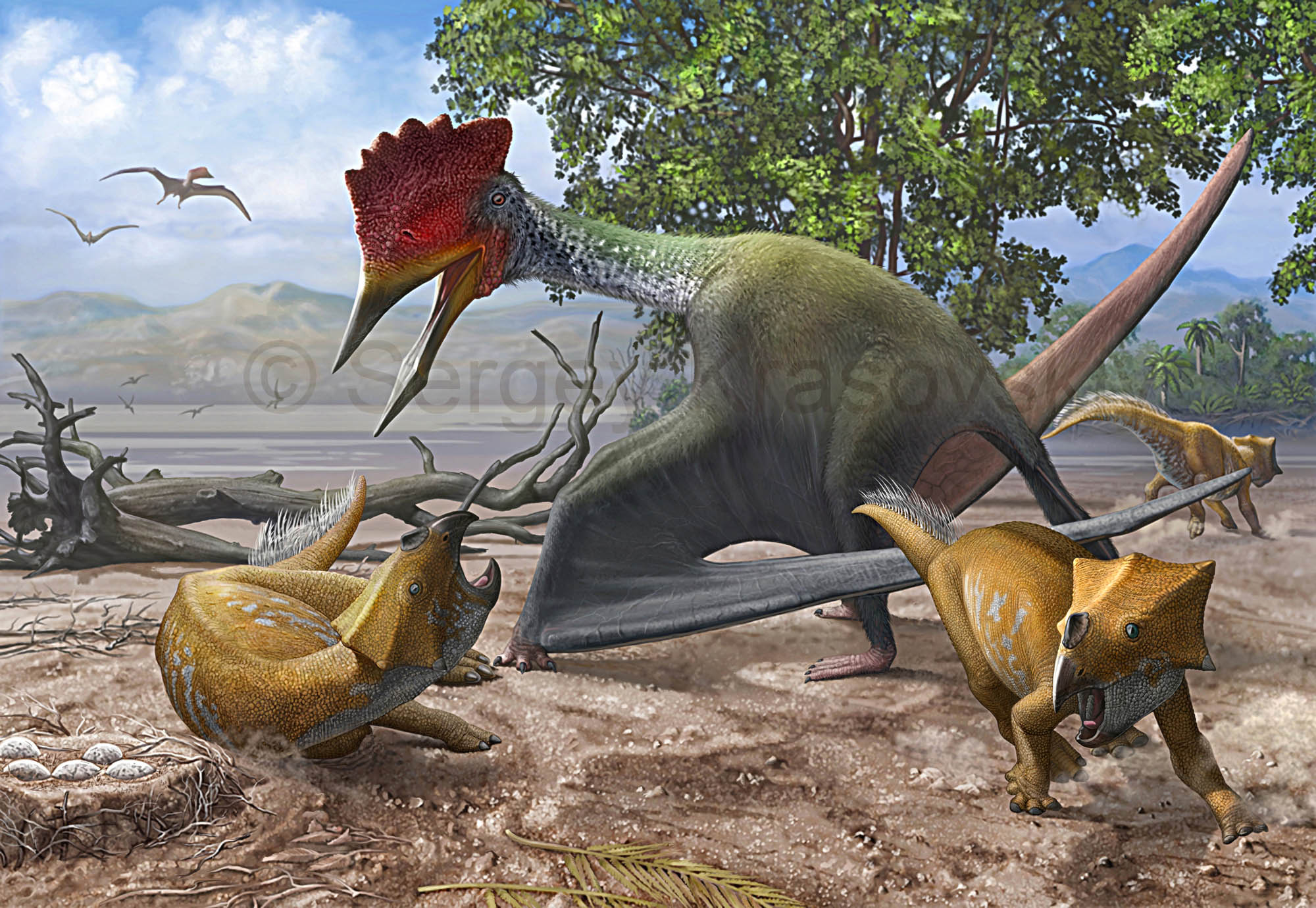 Bakonydraco  vs Ajkaceratops