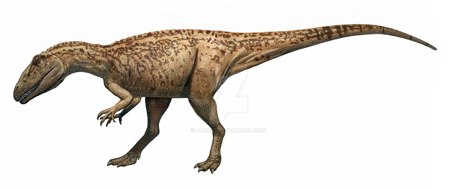 Eustreptospondylus