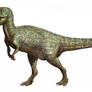 Metriacanthosaurus parkeri
