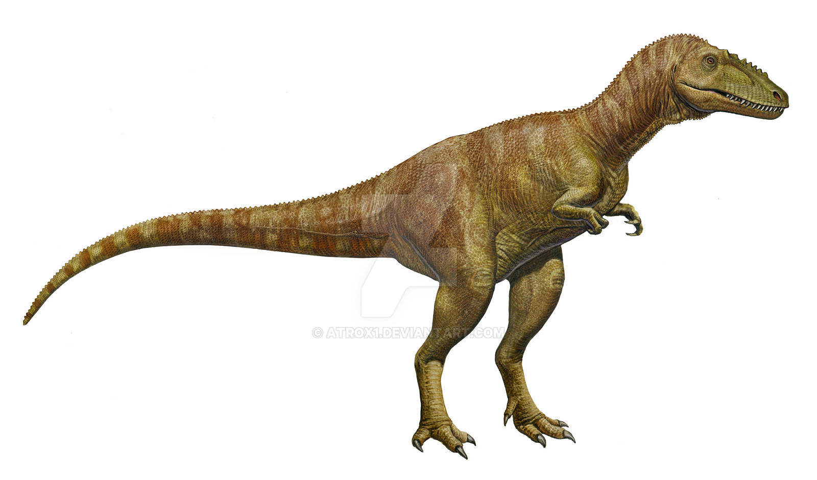 Alioramus Remotus