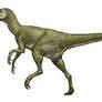 Zupaysaurus rougieri