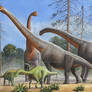 Giraffatitan And Dicraeosaurus