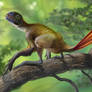 Epidexipteryx hui vs Nephila jurassica