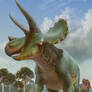 Triceratops