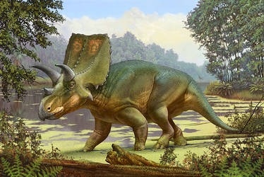 Sierraceratops turneri
