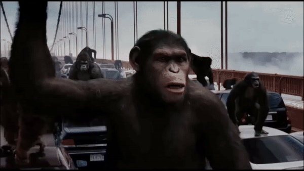 Planet Of The Apes 'REBOOT' Film Trilogy - GIF