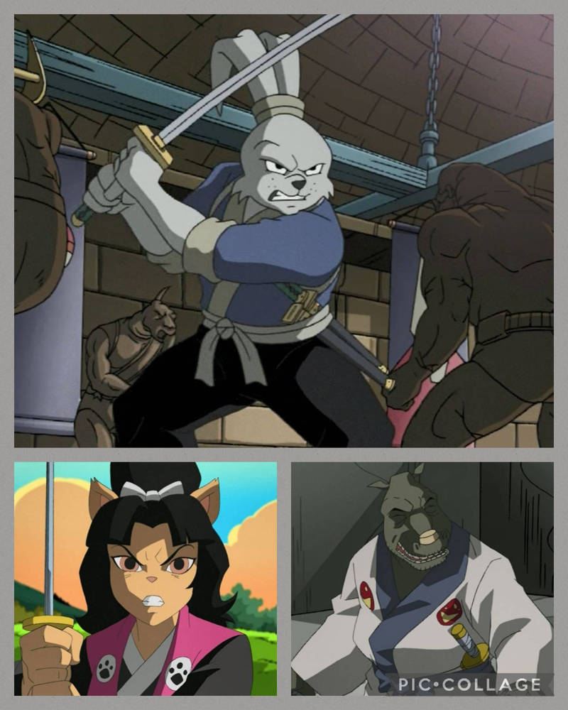 Tmnt 2003 Rabbit Usagi Yojimbo - My Favorite TMNT (2003) Characters by Batboy101 on ...