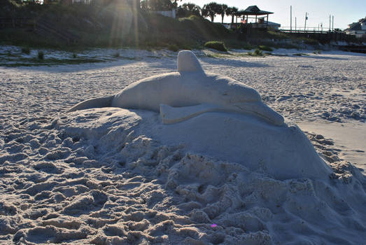 Dolphin Sand Creation